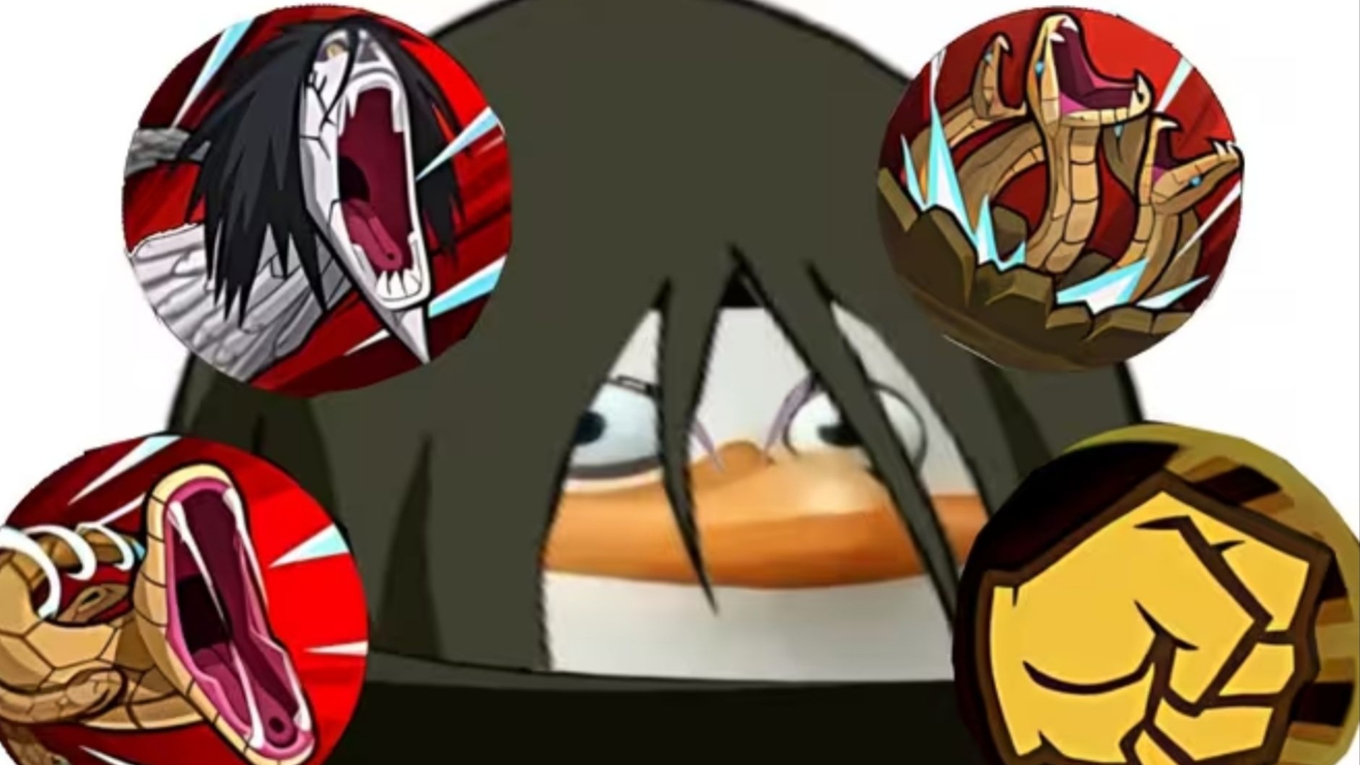 自选a选了晓蛇后 1