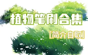 Download Video: 【ps/procreate/sai/画世界pro懒人必备]植物笔刷的正确打开方式，有了这款植物笔刷，手残党也能轻松搞定！！！！