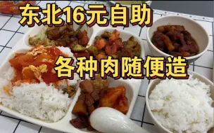 Video herunterladen: 东北16元的自助餐能有多丰盛？猪肉锅包肉、酱骨不限量随便吃