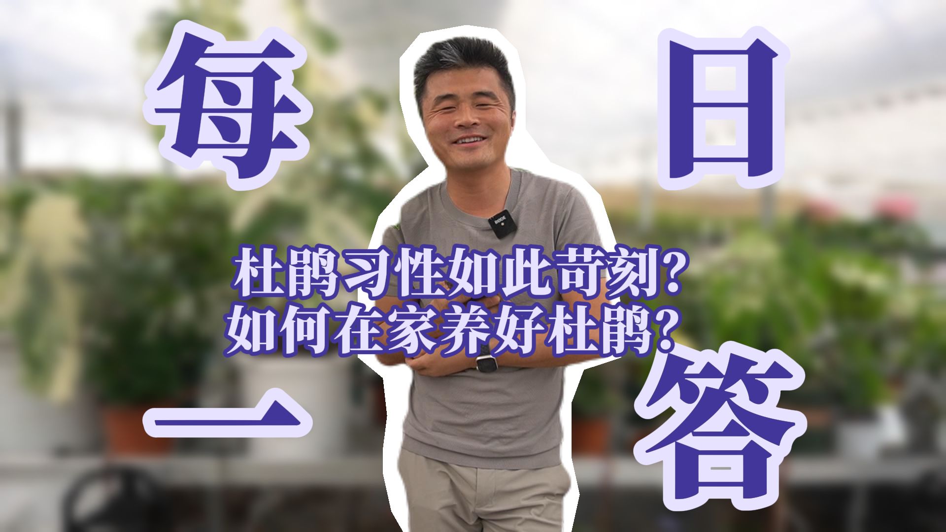 杜鹃习性如此苛刻?如何在家养好杜鹃?哔哩哔哩bilibili