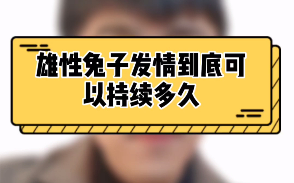 雄性兔子发情到底能持续多久呢,关于兔子发情雌雄可是有区别的哦哔哩哔哩bilibili