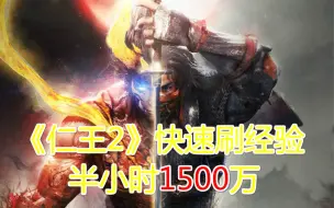 Video herunterladen: 【仁王2】快速升级刷经验刷精华，半小时1500万起步！！！