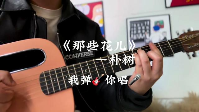 《那些花儿》_朴树 是那些花儿,但是不一样