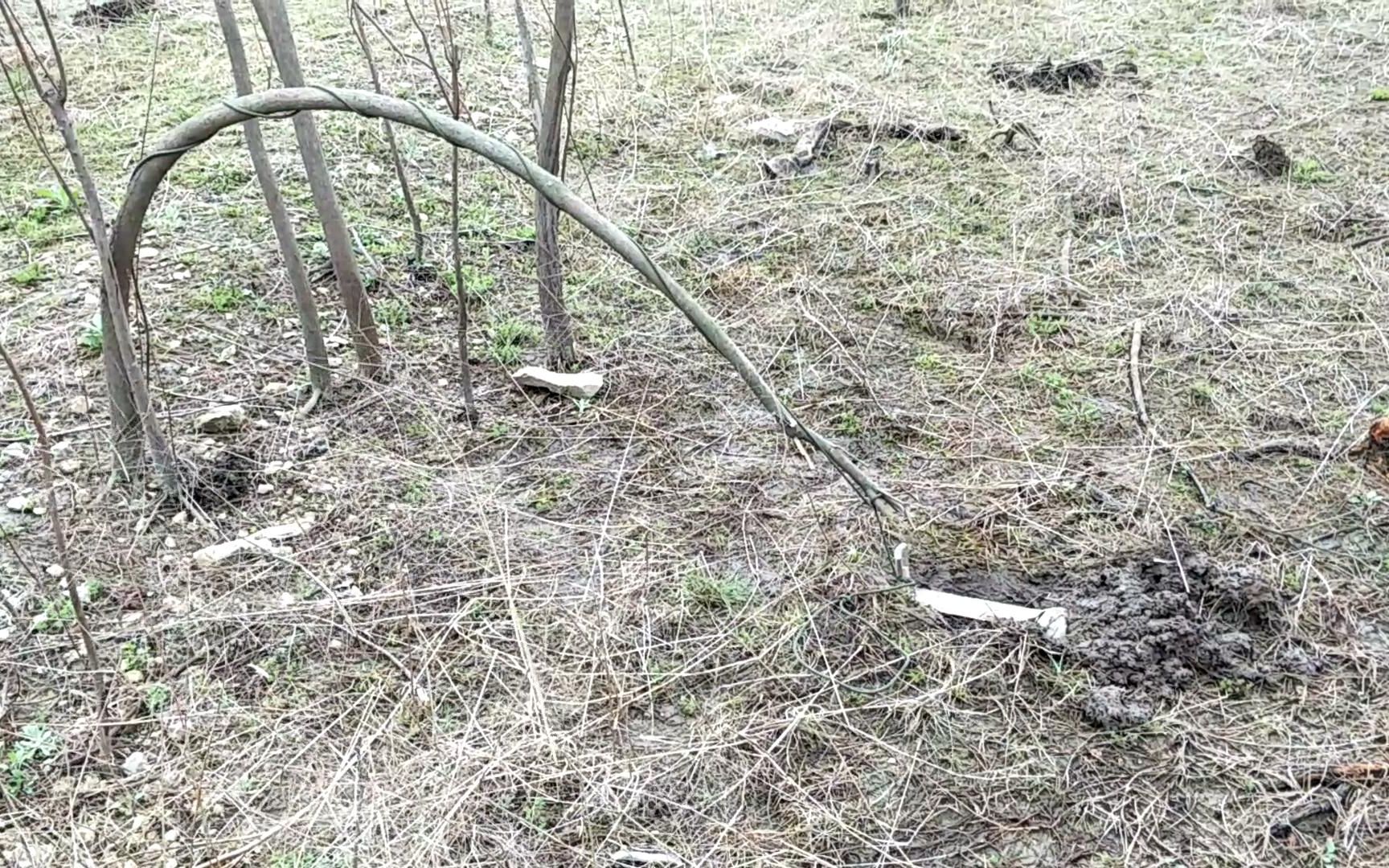 野猪皮是一种传统中药材,具有多种功效.以下是野猪皮的主要功效:1.