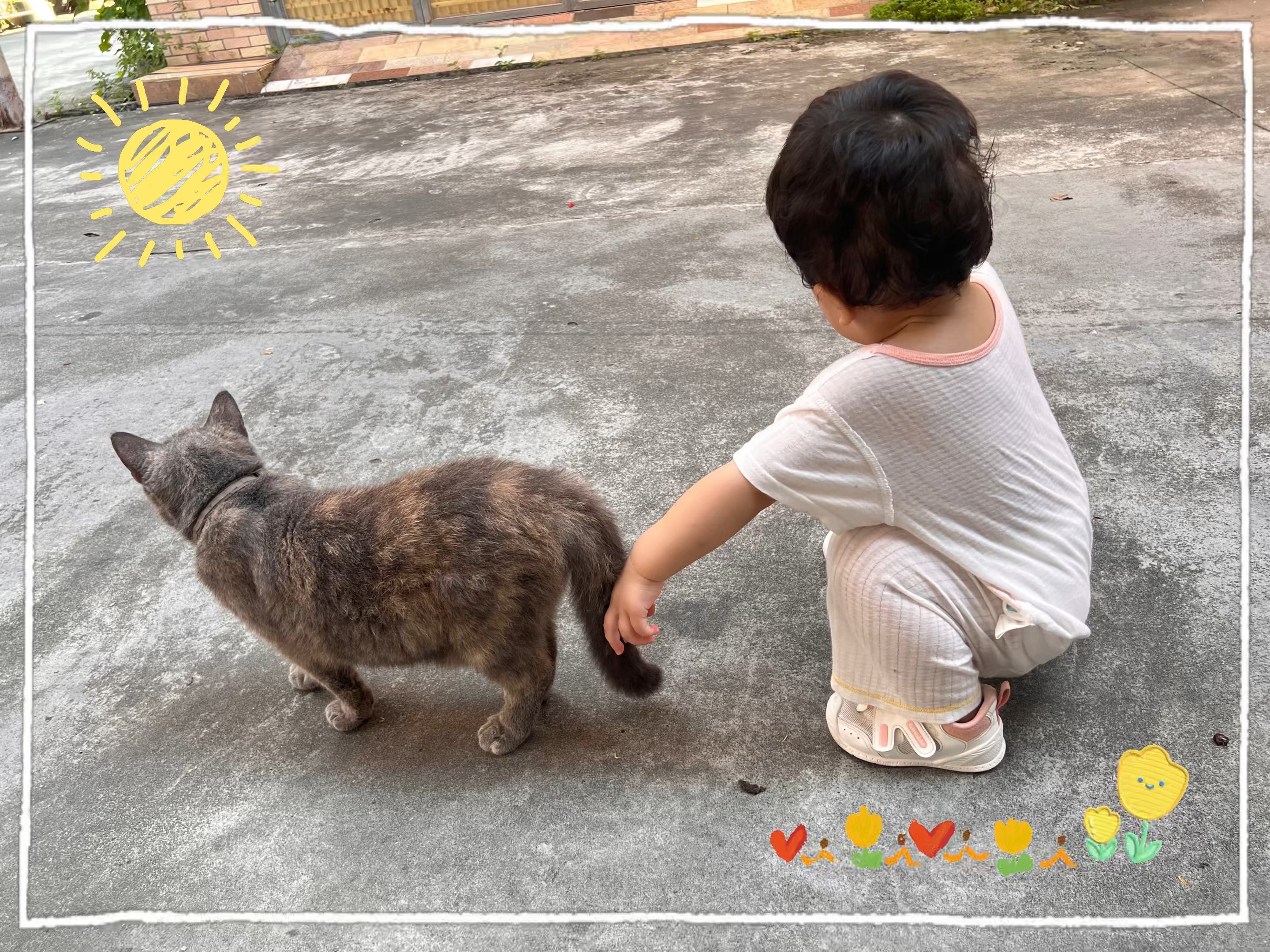 059299猫咪尾巴的魅力无法抵挡!