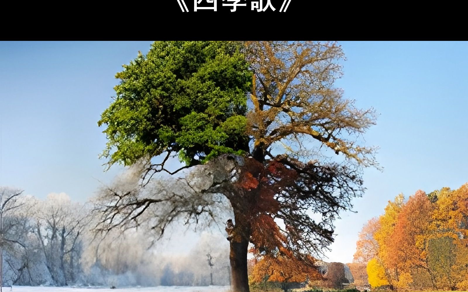 【附钢琴谱】四季歌钢琴谱 四季歌简谱 四季歌钢琴教学教程 四季歌五线谱 四季歌双手数字简谱哔哩哔哩bilibili