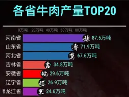 Скачать видео: 各省牛肉产量排行top 20