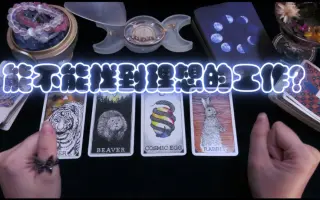 占卜找工作 哔哩哔哩 Bilibili 占卜找工作 哔哩哔哩 Bilibili