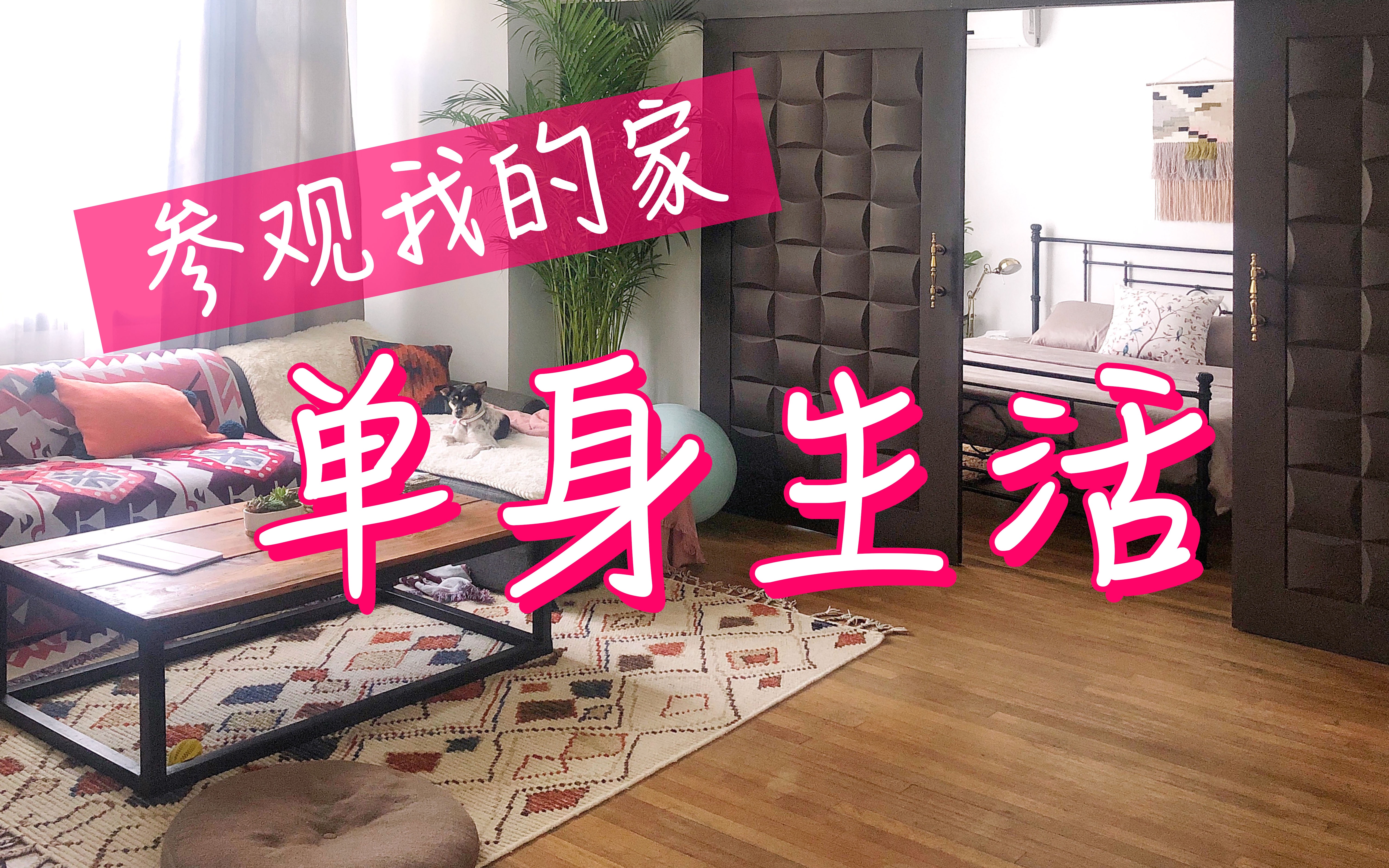 曝光我在上海的单身独居生活带你参观我的家apartmenttour周六野zoey