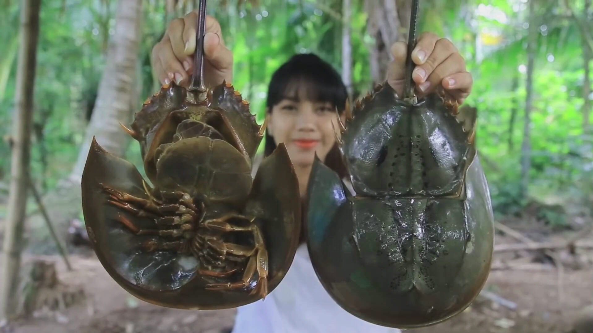 [图]【美食制作】今天小姐姐教你烹饪马蹄蟹沙拉食谱 - 烹饪技巧 原始森林 原始生活 荒野