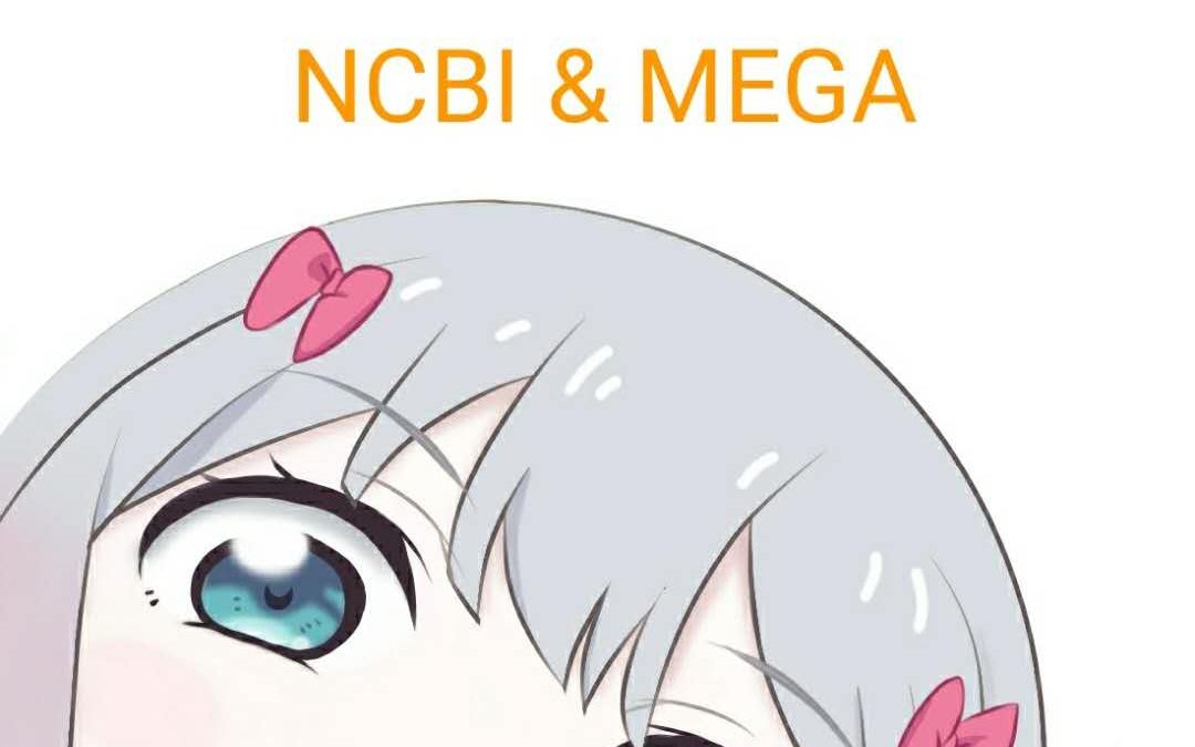 利用ncbi和mega创立系统进化树哔哩哔哩bilibili