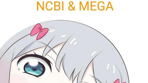 利用ncbi和mega创立系统进化树 哔哩哔哩 つロ干杯 Bilibili 利用ncbi和mega创立系统进化树 哔哩哔哩 つロ干杯 Bilibili