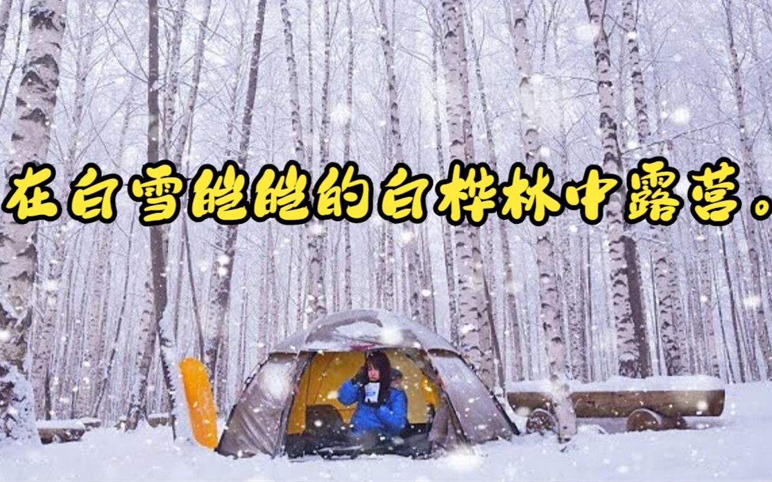 [图]在白雪皑皑的白桦林中露营。 有史以来最好的露营。 在雪中徒步露营