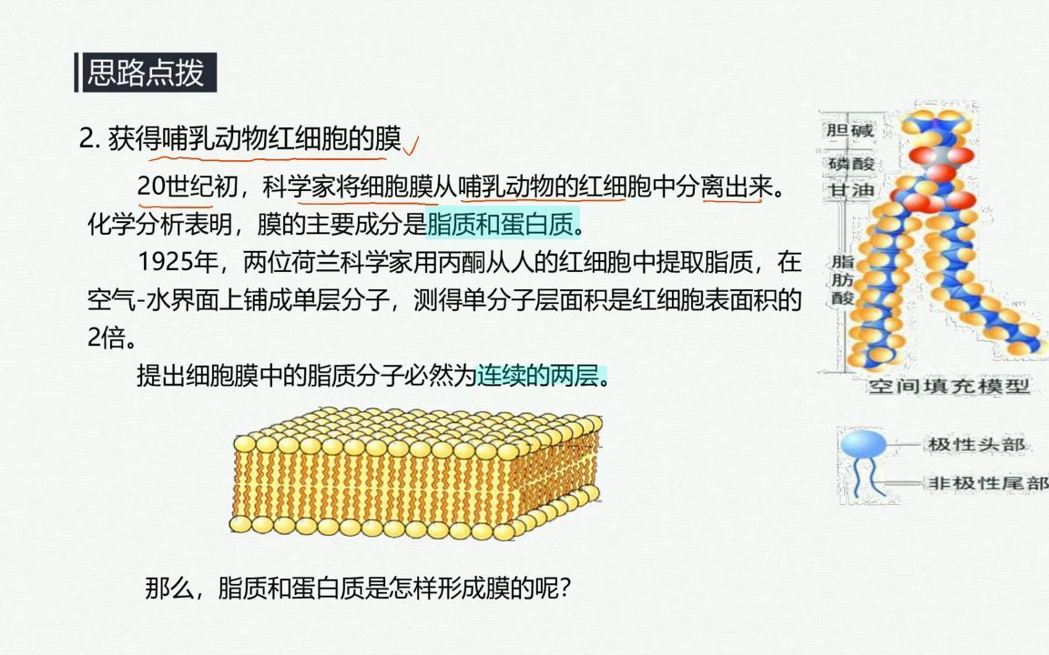 细胞生物膜系统及对生物膜结构的探索历程哔哩哔哩bilibili