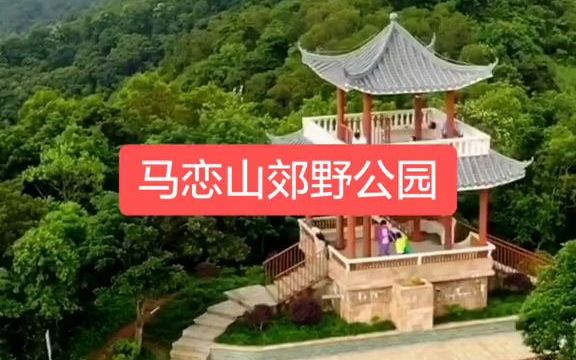 【治愈系风景】马恋山郊野公园哔哩哔哩bilibili