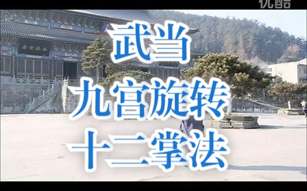 武当九宫旋转十二掌法哔哩哔哩bilibili