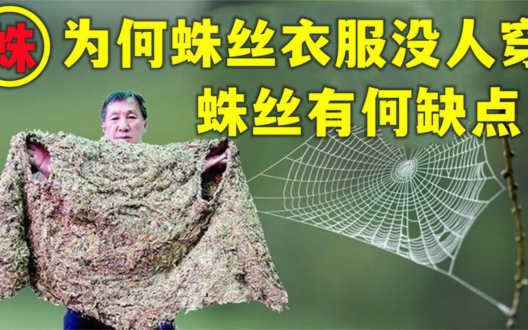 早期苦聪人用蜘蛛丝做衣服,为何现在却没人穿?蛛丝衣有何缺点?哔哩哔哩bilibili