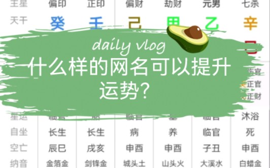 什么样的网名可以提升运势?哔哩哔哩bilibili