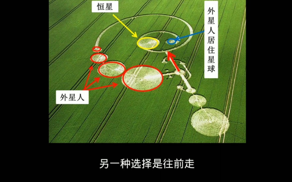 麦田怪圈已经被破译了!大家都快来看!