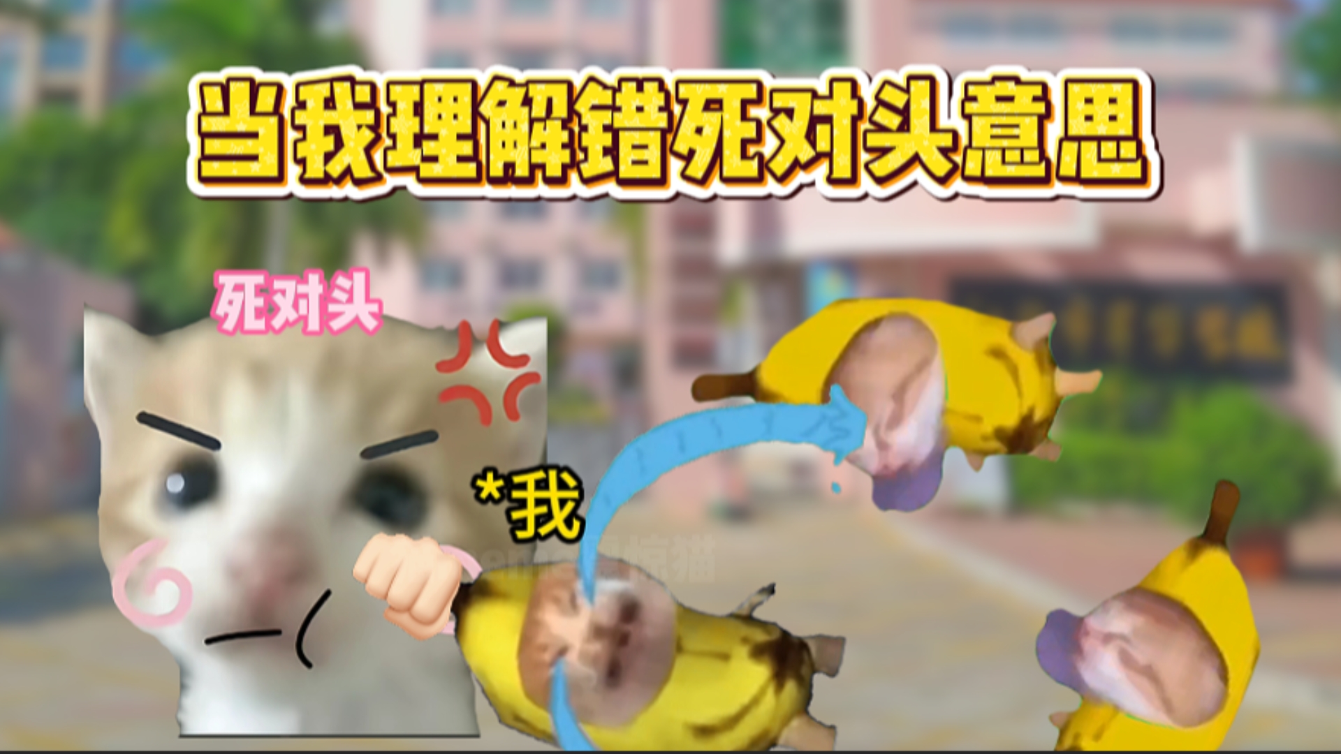 当我理解错了死对头的意思