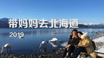 19年1月带妈妈去北海道 下 哔哩哔哩 Bilibili