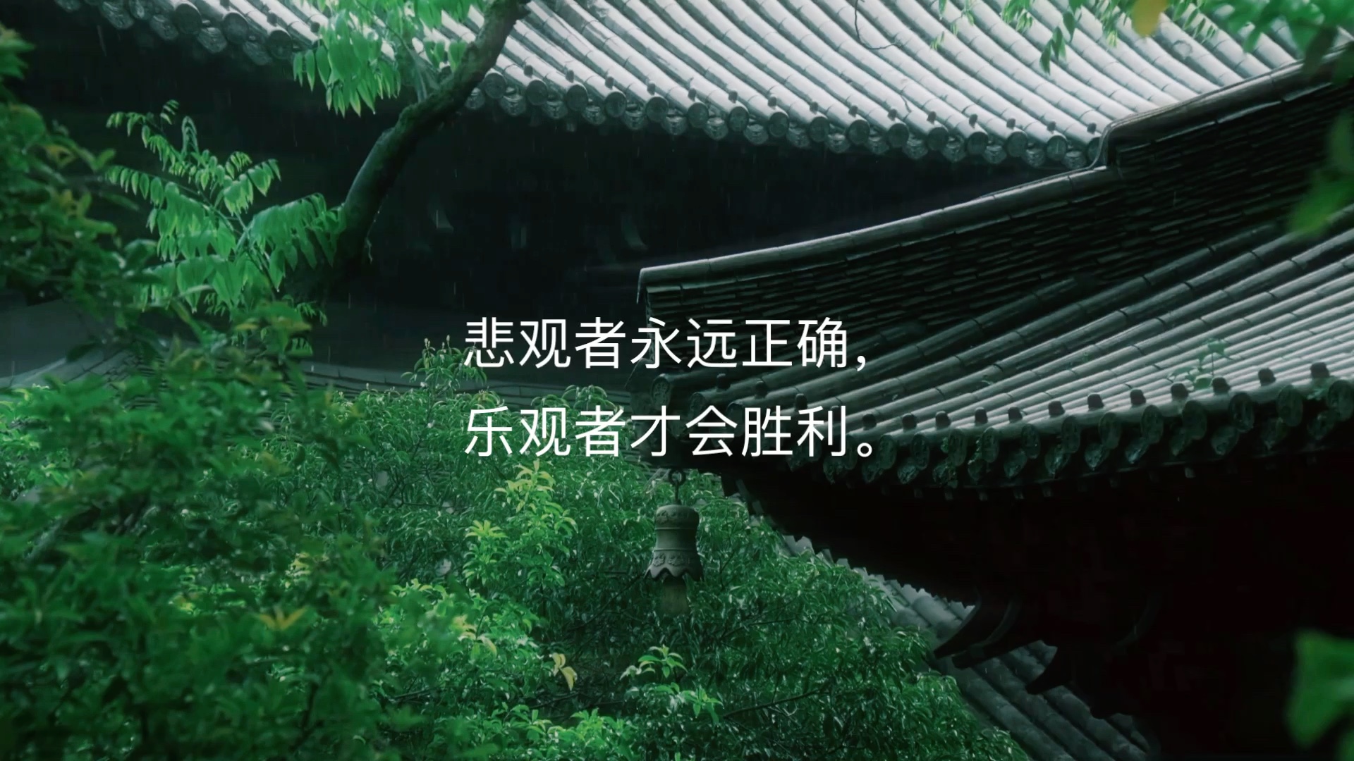 悲观者永远正确,乐观者才会胜利.