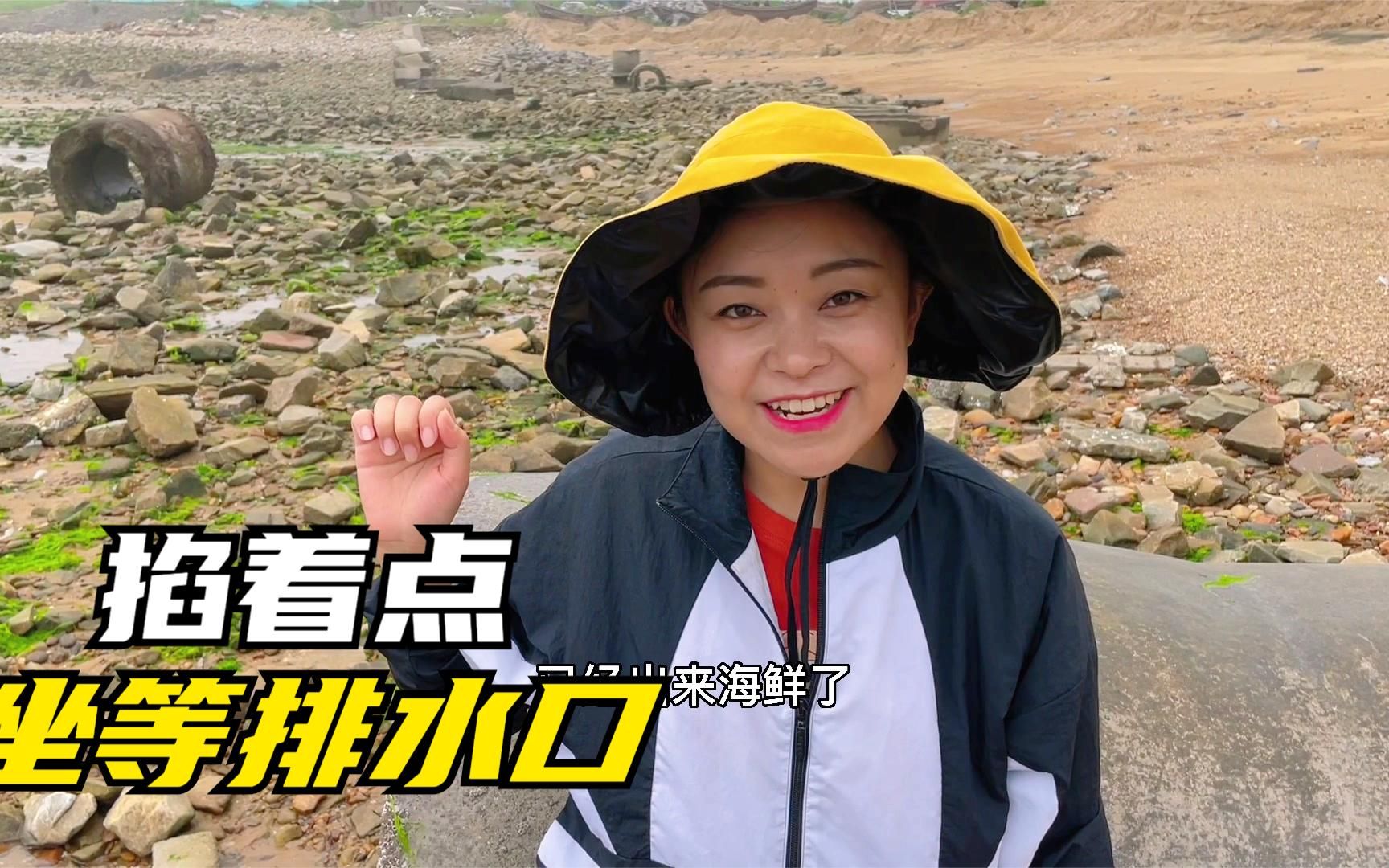 小章赶海掐着点来到排水口!