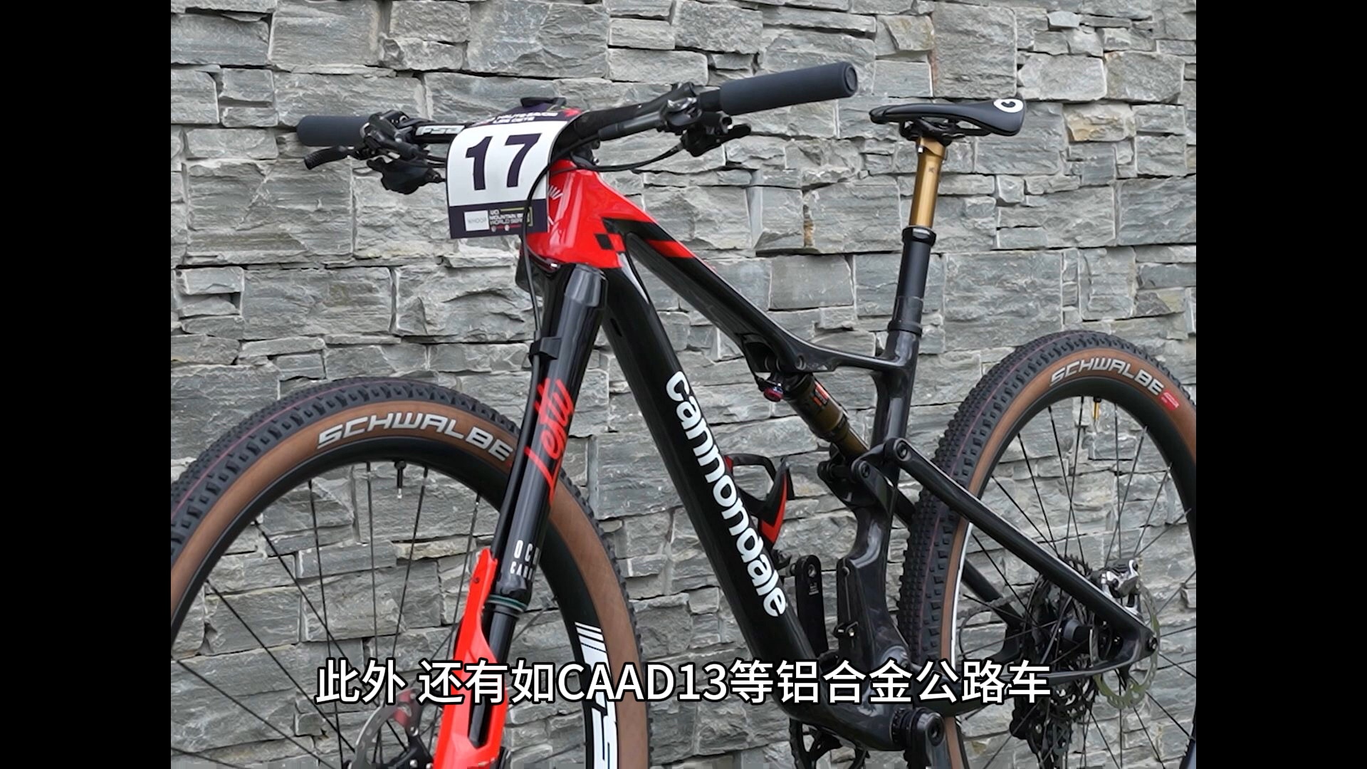 佳能戴尔自行车介绍