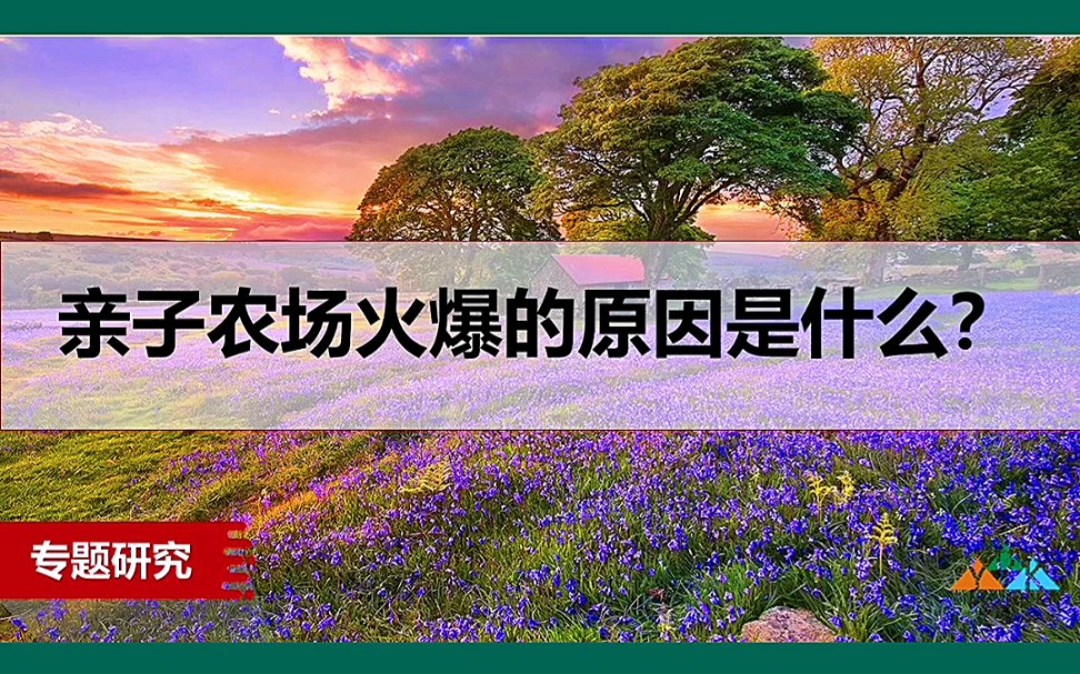 亲子农场火爆的原因是什么?#亲子农场策划规划设计运营公司#亲子乐园#田园综合体策划方案#休闲农业与乡村旅游规划设计#农业产业园#休闲农庄设计方...