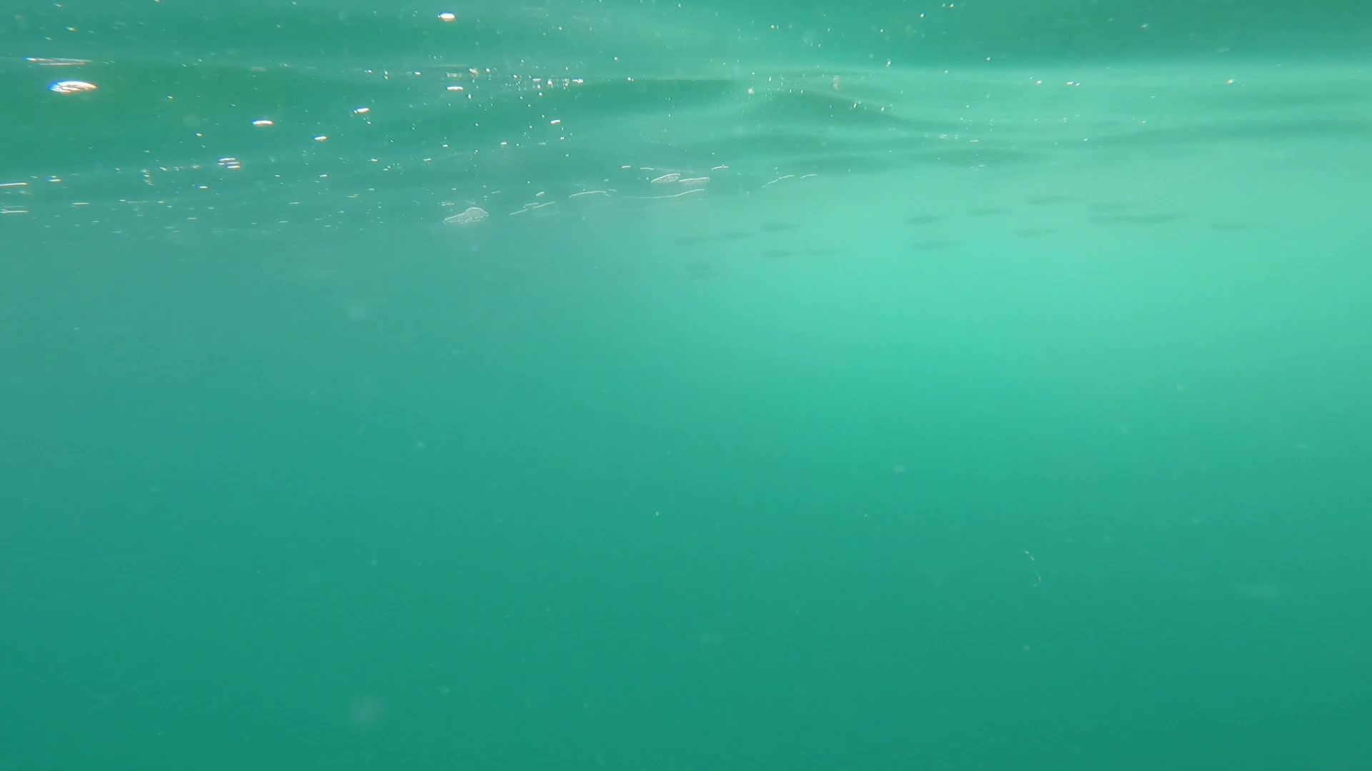 在香港西贡桥咀洲的厦门湾浮潜 Snorkelling at Half Moon Bay 20210607哔哩哔哩bilibili