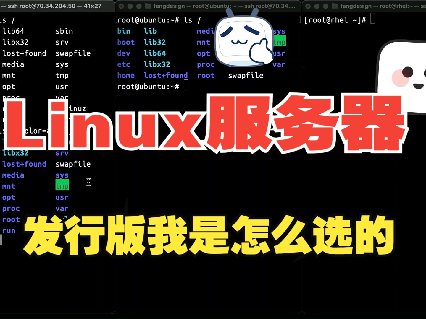 Linux入门服务器上的Linux发行版我是怎么选的