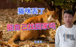 Download Video: 猫咪丢了，能自己找回家吗？只要采取这些方法，就一定能找回小猫