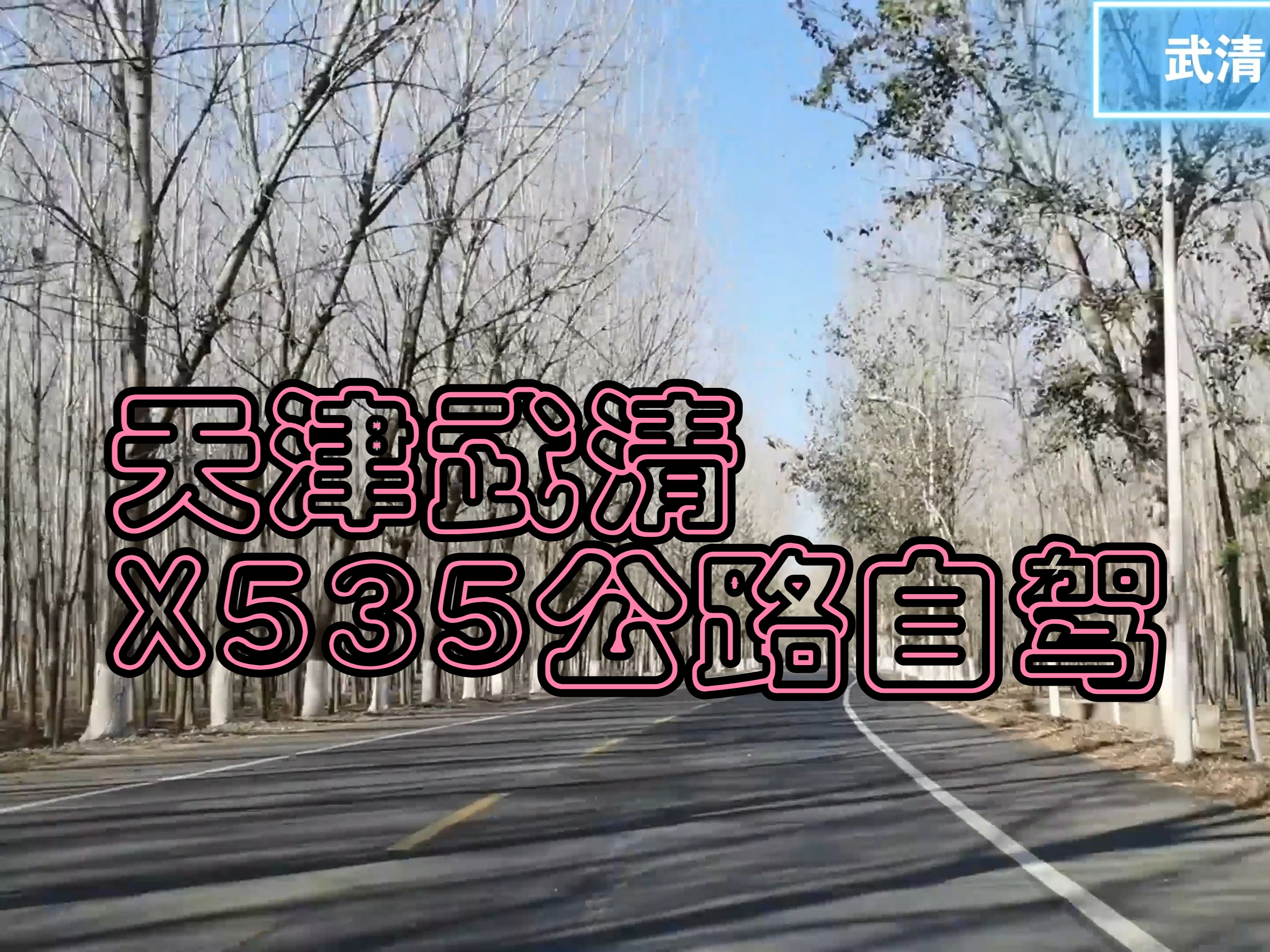 天津武清区河大路自驾(河西务小甸屯检查站)POV173哔哩哔哩bilibili