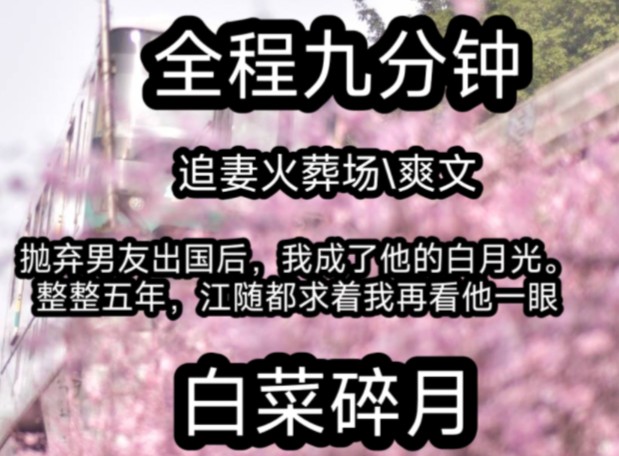 抛弃男友出国后,我成了他的白月光.整整五年,江随都求着我再看他一眼我们终于破镜重圆他却突然变得冷淡哔哩哔哩bilibili