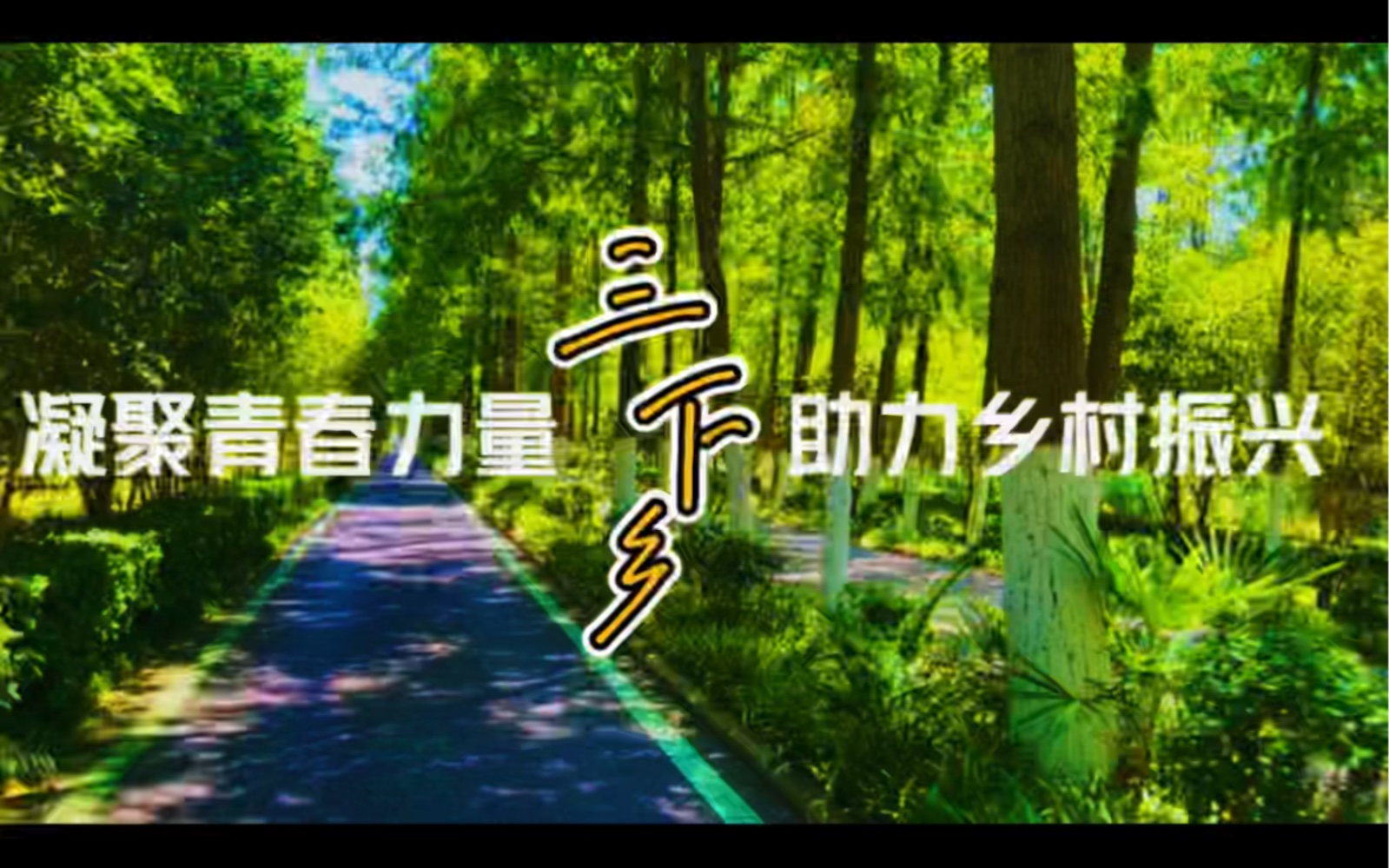 [图]东北财经大学2022年“三下乡”社会实践活动，安徽省“皖韵徽风”团队投稿作品。