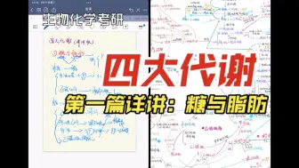 下载视频: 【生物化学】四大代谢转化之糖与脂肪的联系与应用