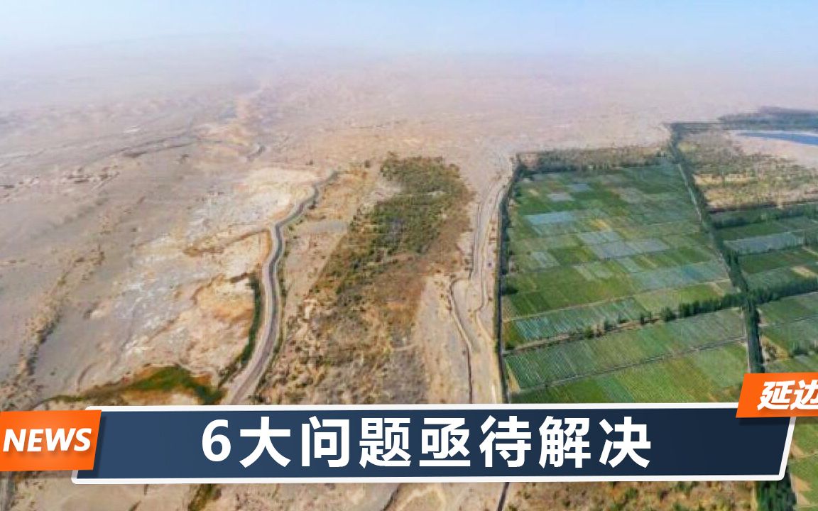 敦煌防护林被毁567亩2个月前甘肃通报没发现剃头式采伐