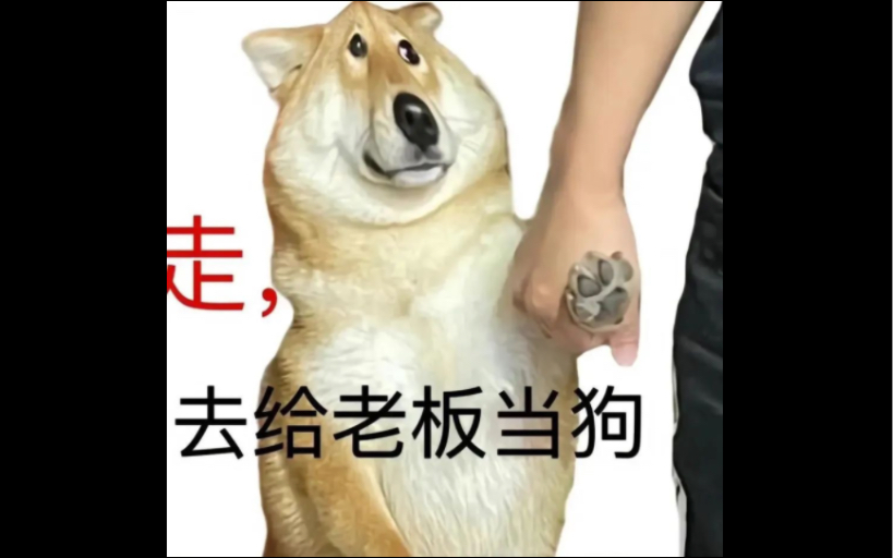 兔年有三百八十四天,也就是说我今年要给老板当三百八十四的狗