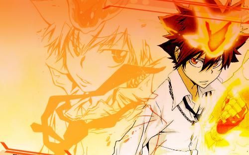 300英雄沢田纲吉击杀剪辑我们的口号是什么燃