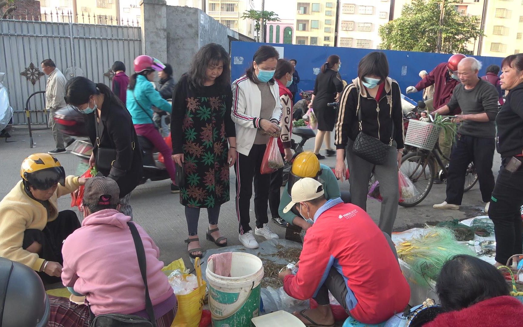 小池卖鱼虾很热闹,一张网挂满罗非鱼都忙不过来,这次赚到300多哔哩哔哩bilibili