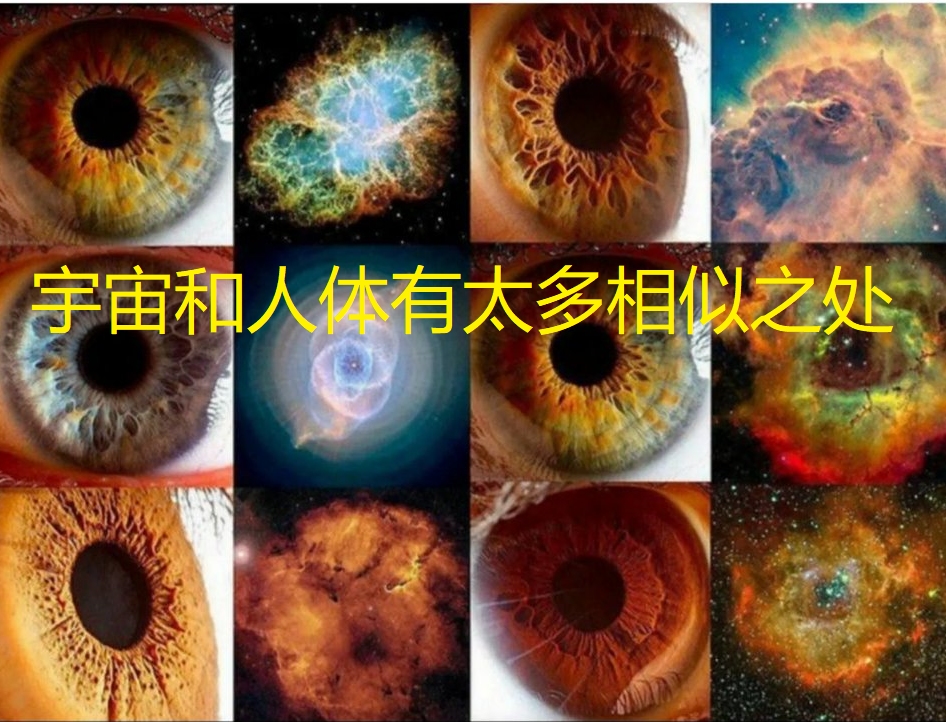 宇宙和人体竟然惊人的相似