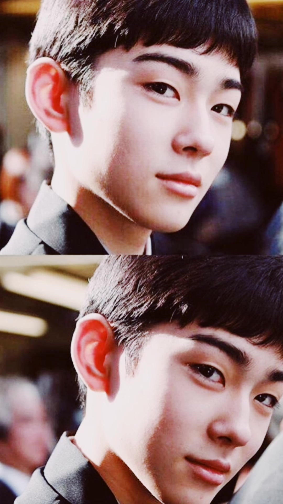 藤间斋松本金太郎