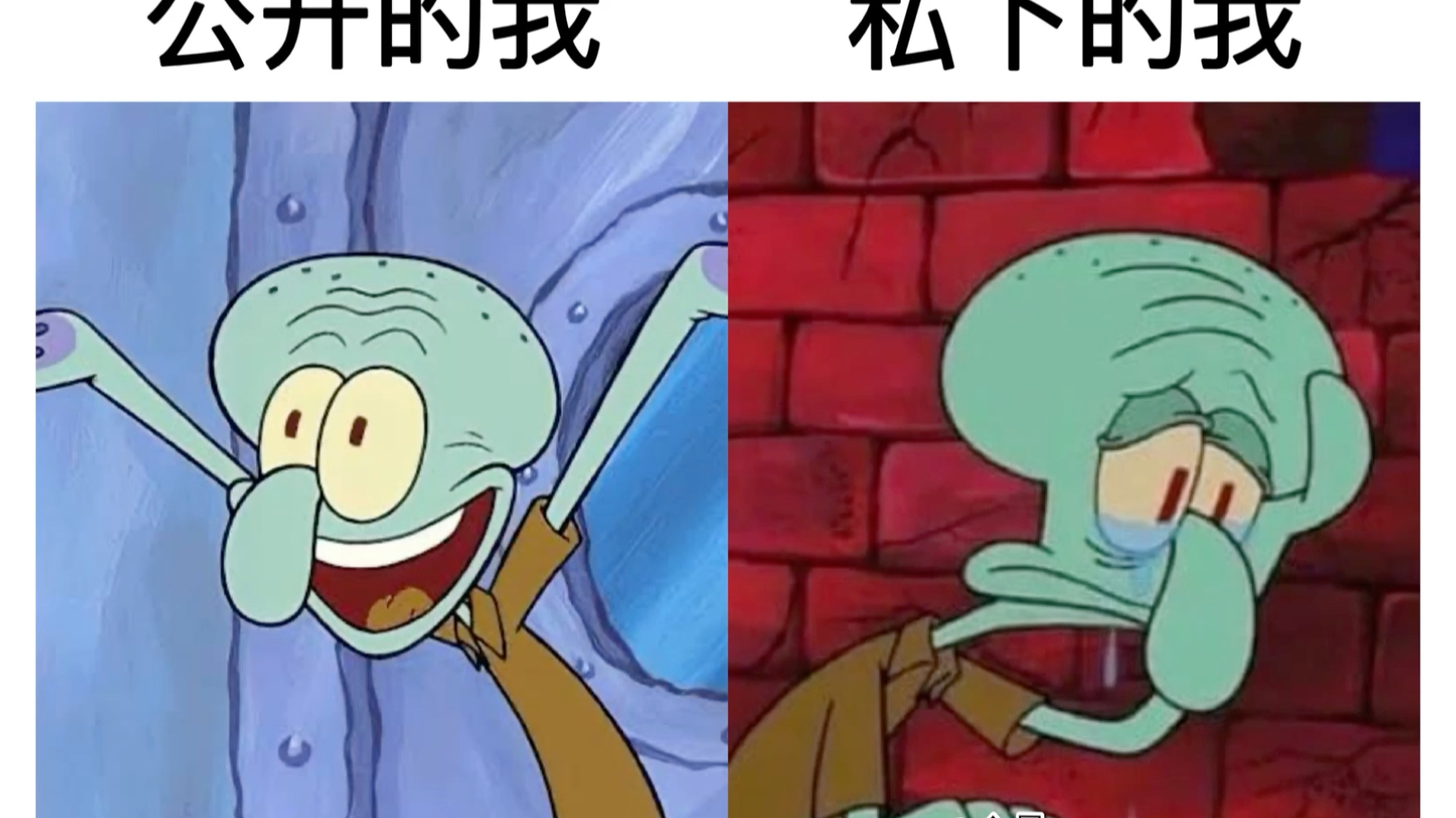 meme合集 │ 第35期_哔哩哔哩_bilibili