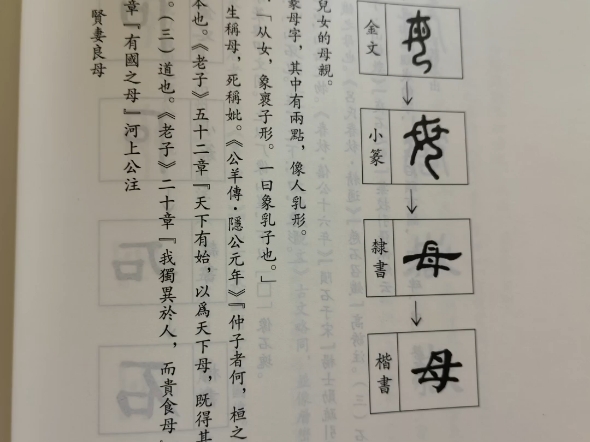 母字的演变
