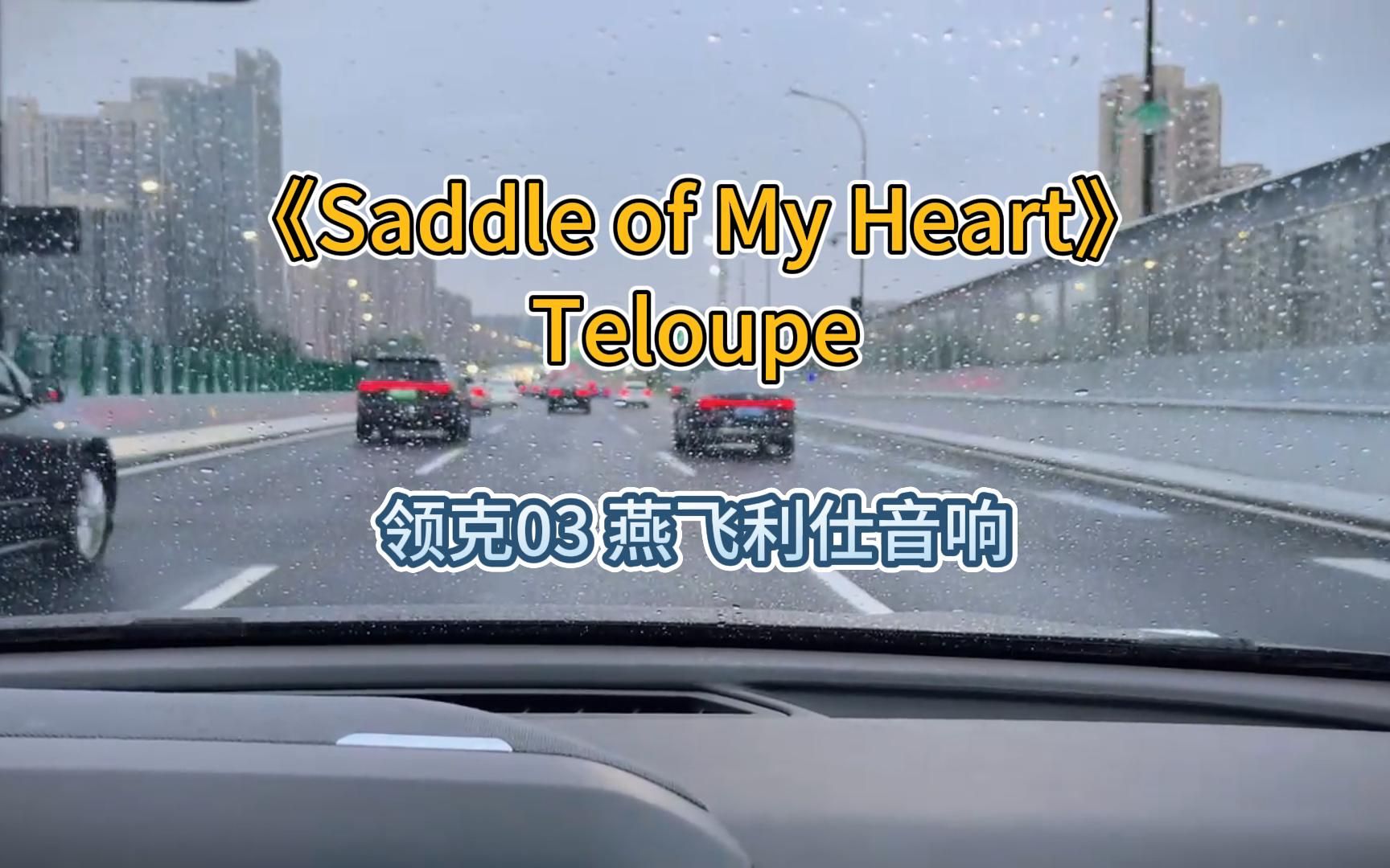 [图]《Saddle of my heart》Teloupe 领克03 燕飞利仕音响