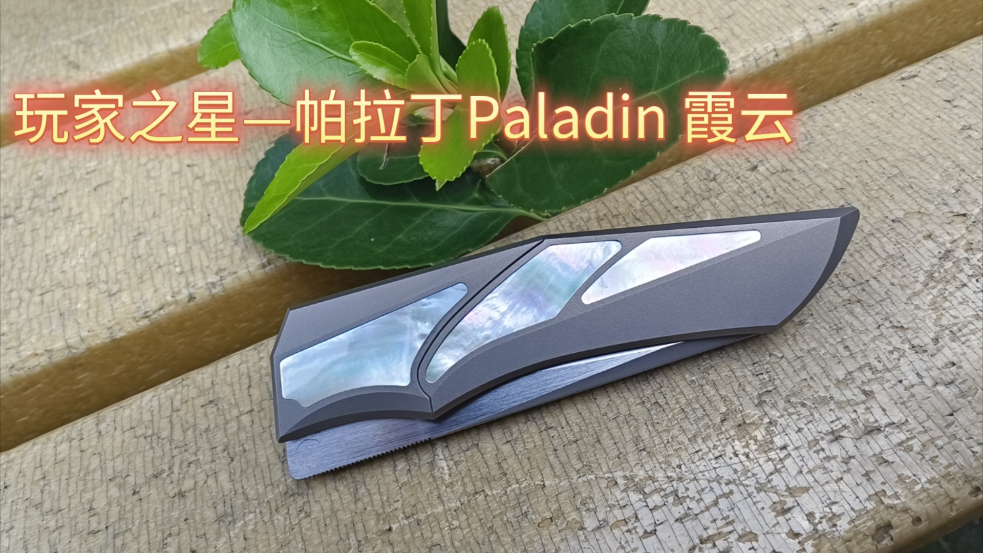 玩家之星—帕拉丁 Paladin 霞云哔哩哔哩bilibili