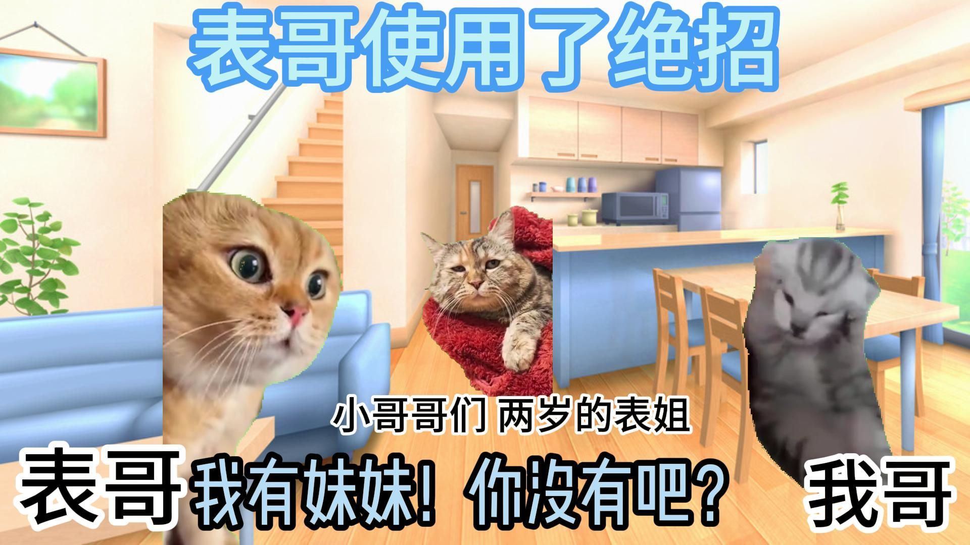 [图]【猫meme】为了能吵赢表哥，哥哥非要妈妈生个妹妹的故事