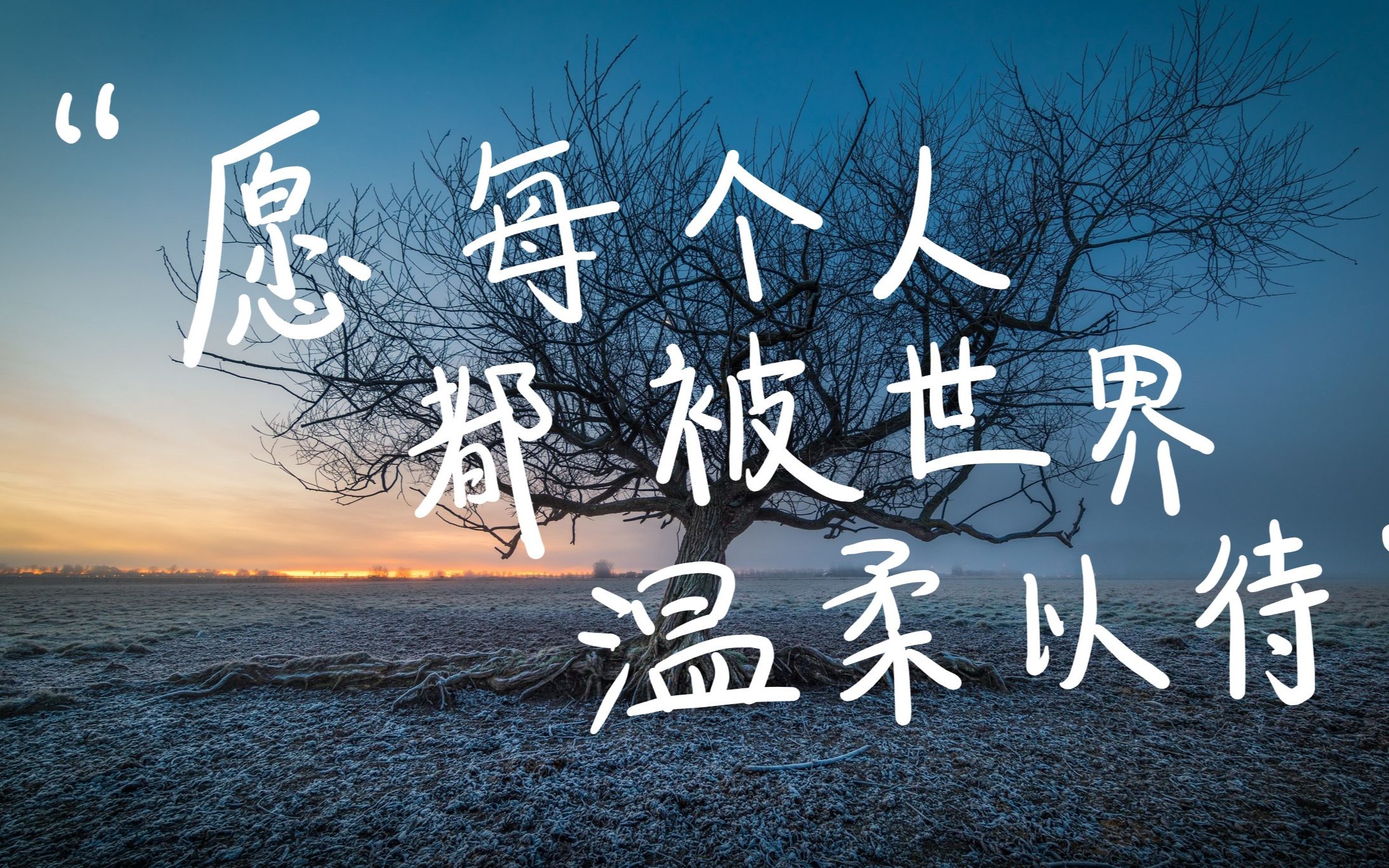 [在这最后一个月,给大家讲个故事]——愿明年的你也能被世界温柔以待