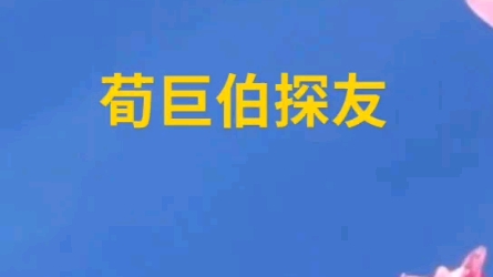 荀巨伯探友哔哩哔哩bilibili