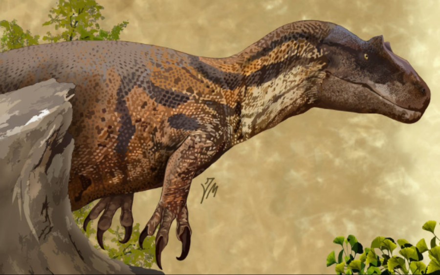 食肉龙混剪【吸血鬼】——狮子回来了